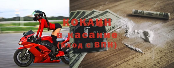 гидра Аркадак