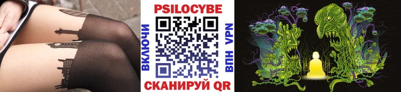 Псилоцибиновые грибы Magic Shrooms  купить закладку  Новодвинск 